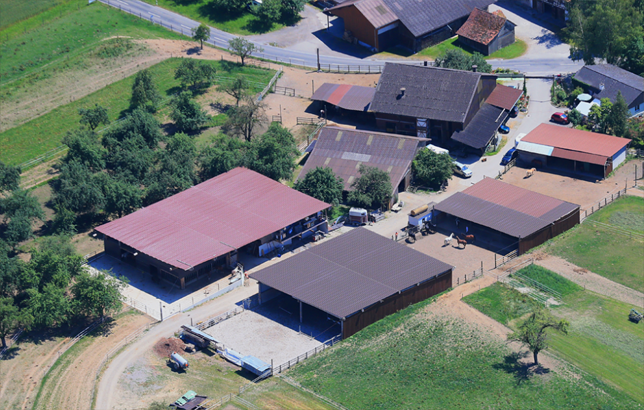 Pferdepension Birkenhof Hünikon