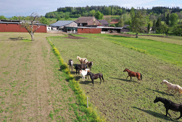 Ferienplatz für Pferde